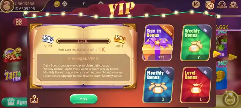 VIP rewards with daily, weekly, monthly and level bonuses